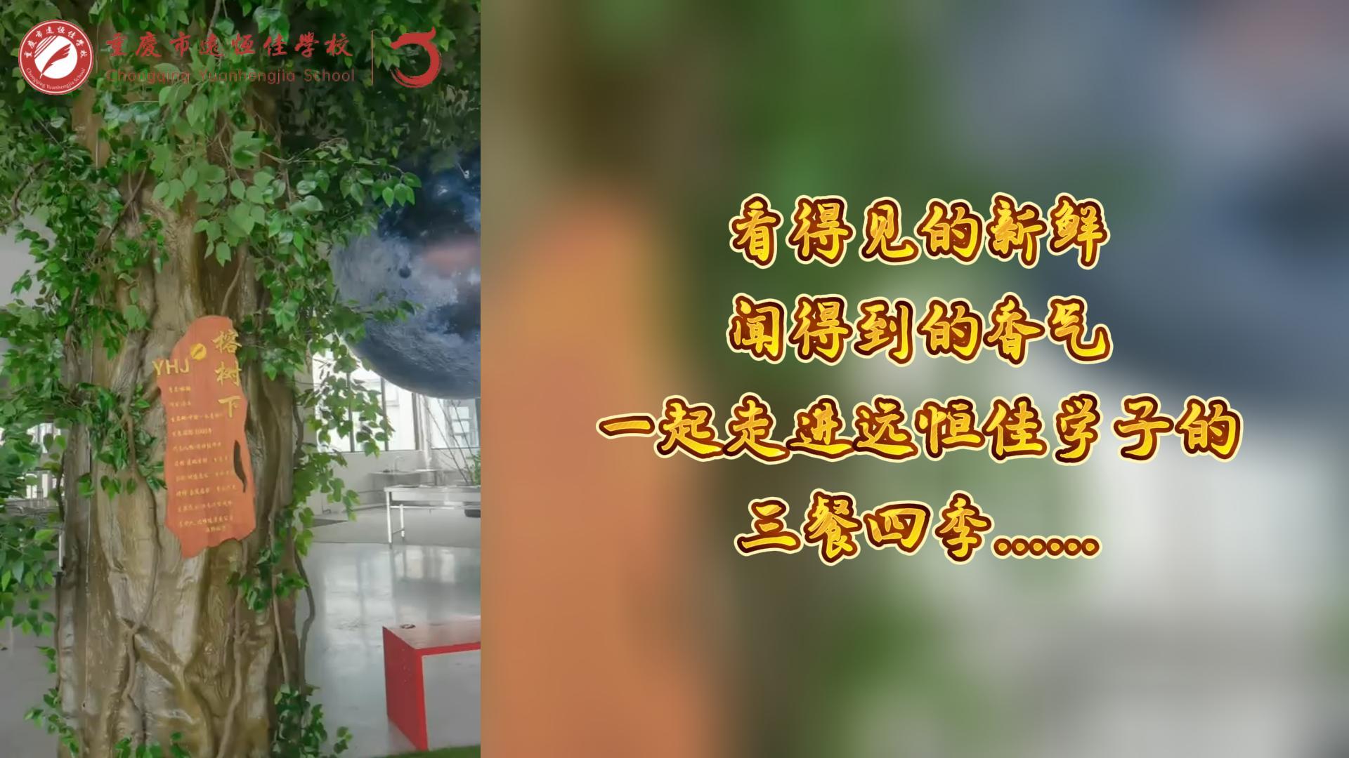美好學(xué)校|看得見的新鮮，聞得到的香味，一起走進(jìn)遠(yuǎn)恒佳學(xué)子的三餐四季!